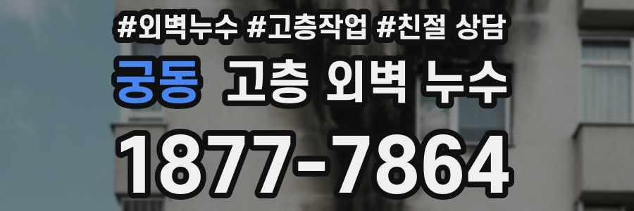 궁동 고층 외벽 누수