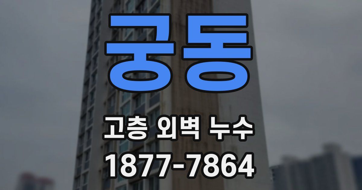 궁동 고층 외벽 누수