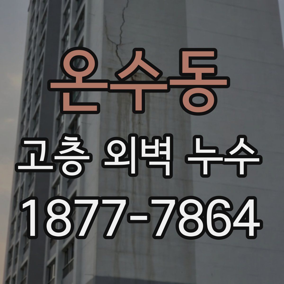 온수동 고층 외벽 누수