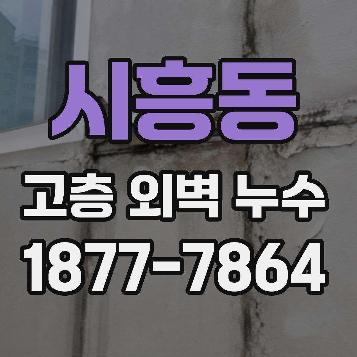시흥동 고층 외벽 누수