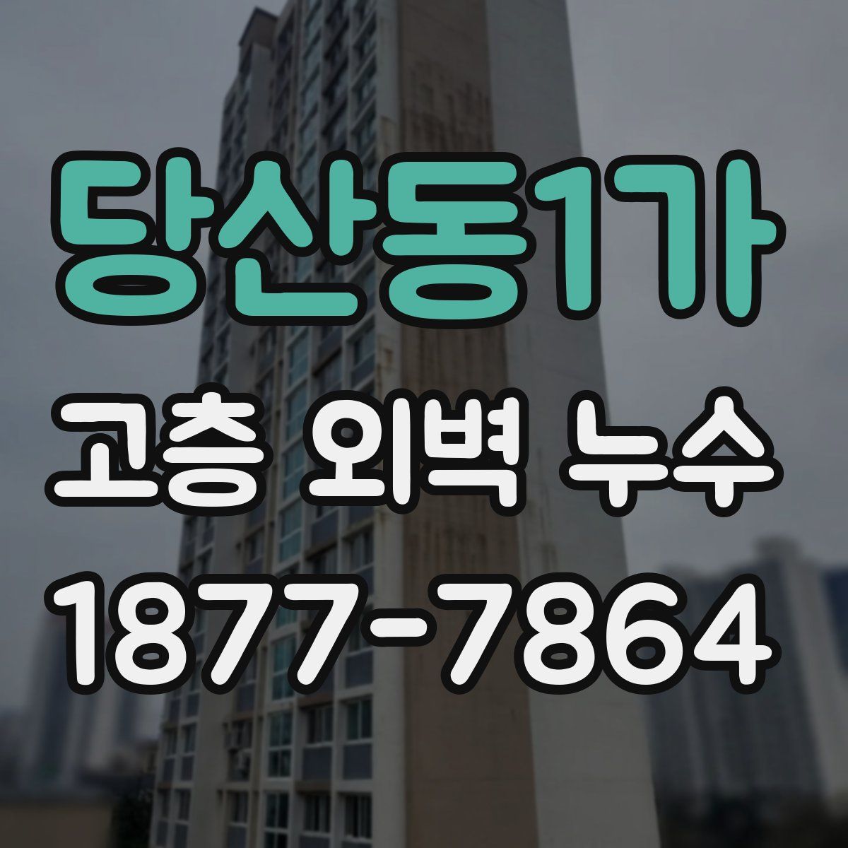 당산동1가 고층 외벽 누수