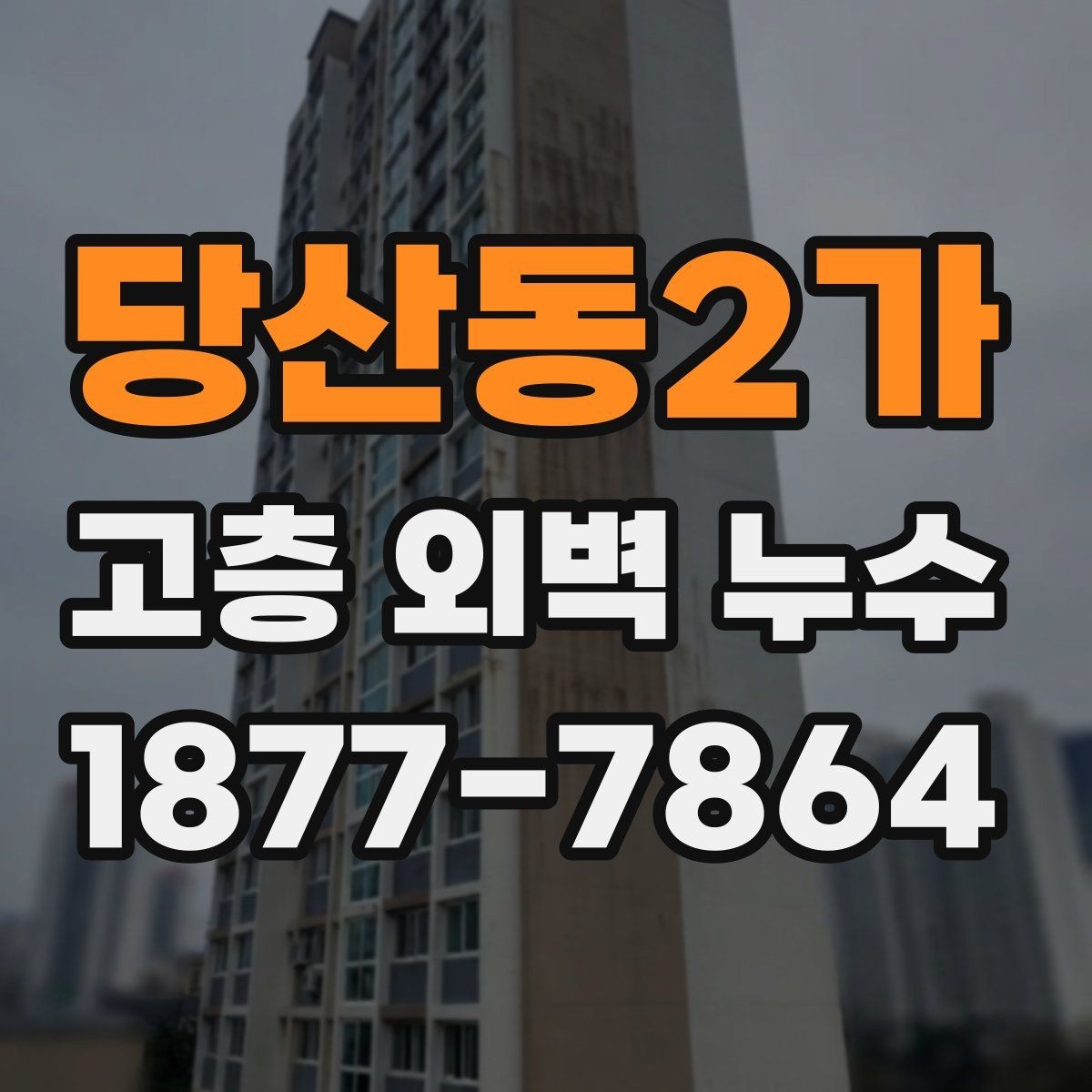 당산동2가 고층 외벽 누수 보수 전 비용 산정 방식 살펴보기