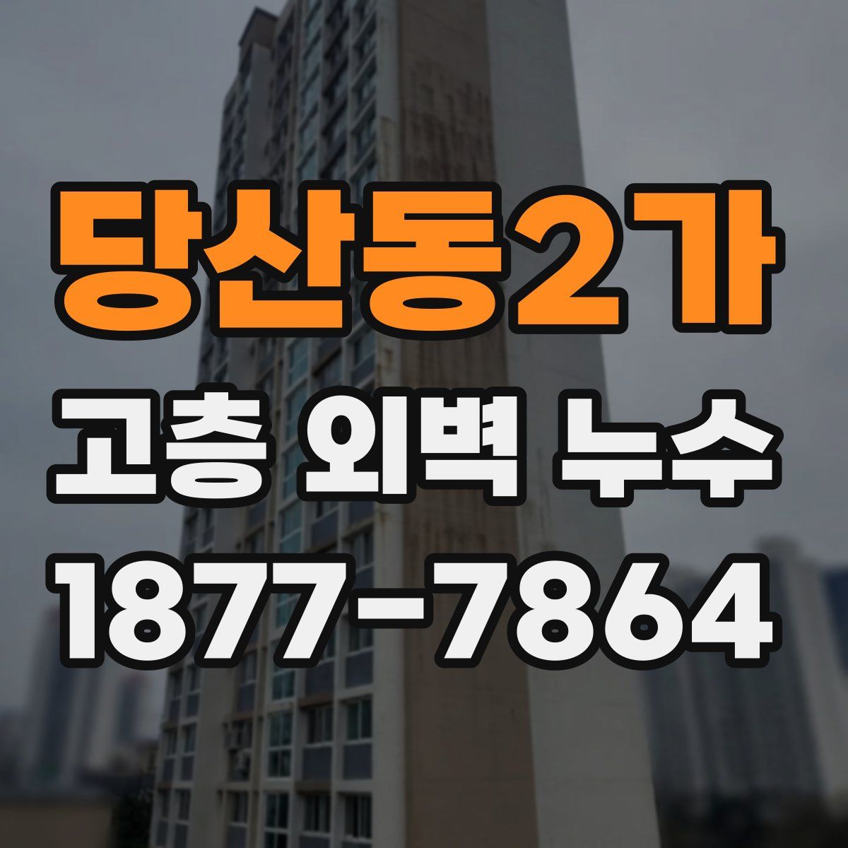 당산동2가 고층 외벽 누수