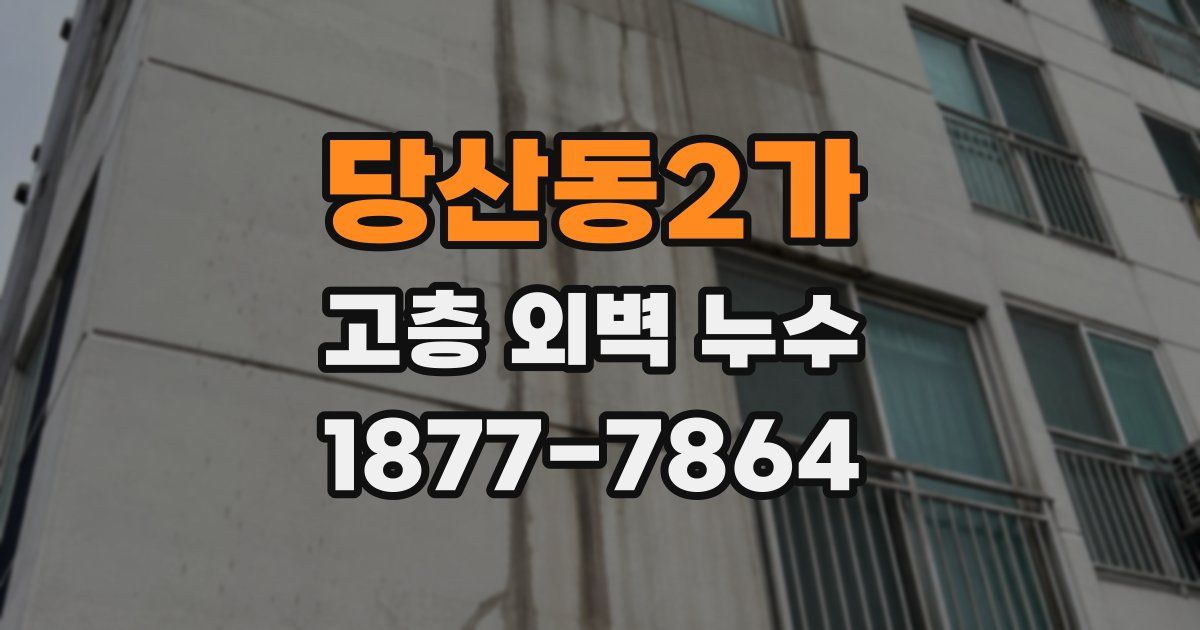 당산동2가 고층 외벽 누수