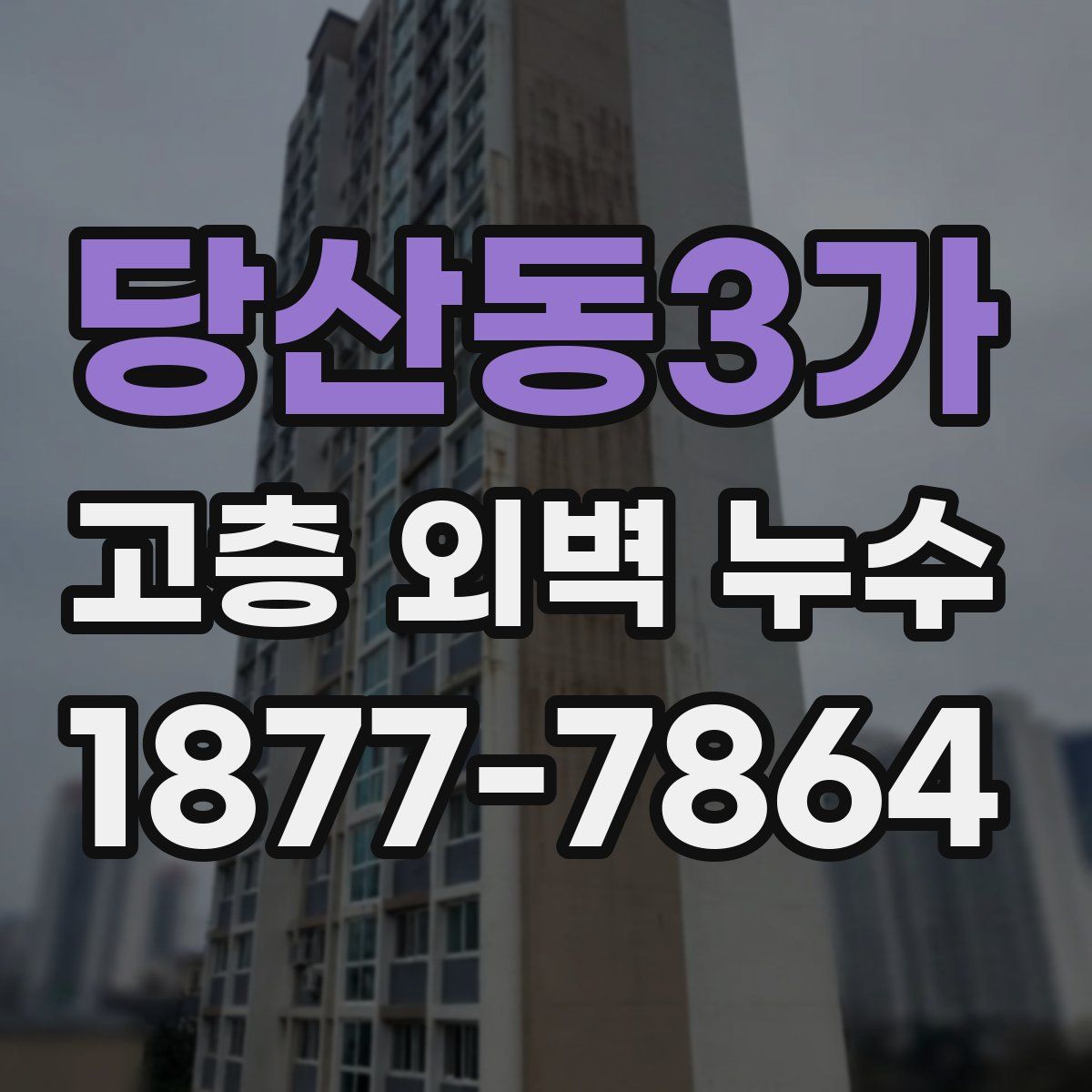 당산동3가 고층 외벽 누수