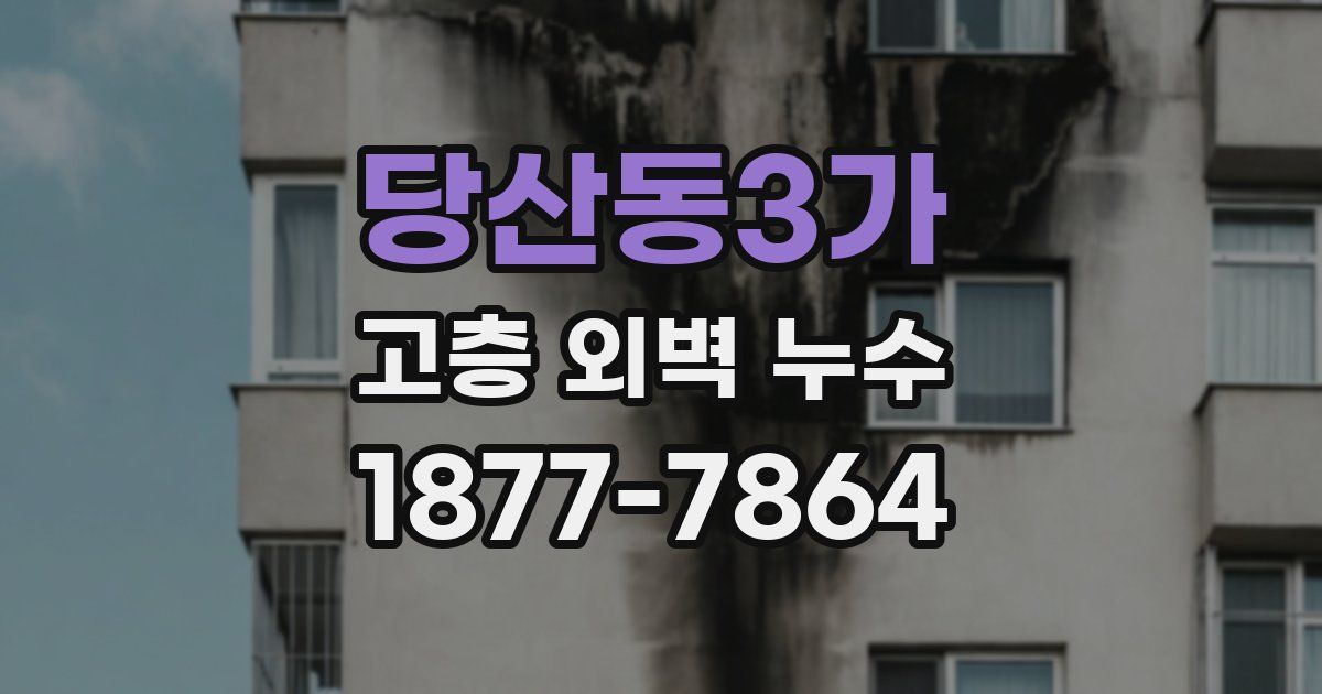 당산동3가 고층 외벽 누수