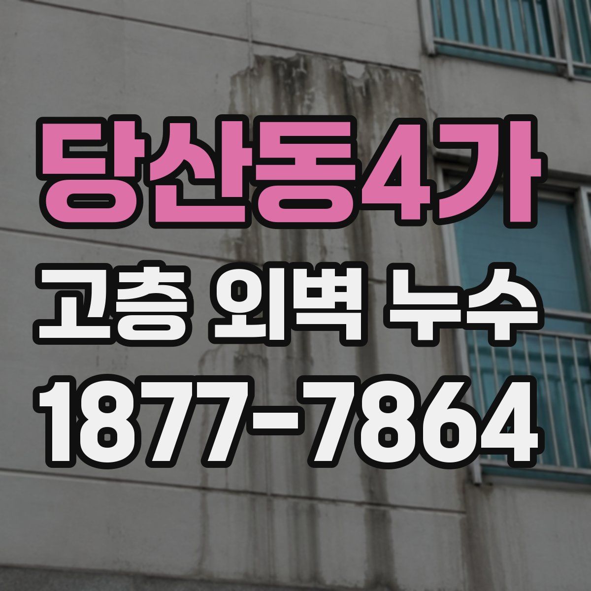 당산동4가 고층 외벽 누수