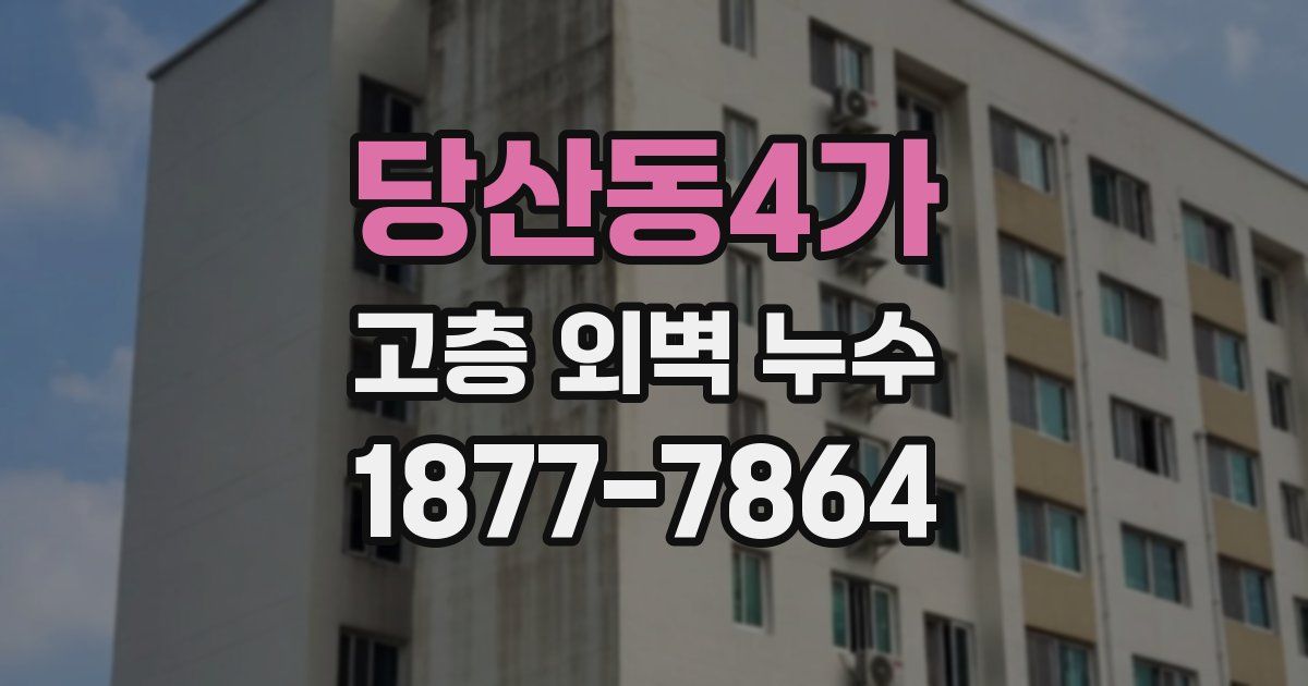 당산동4가 고층 외벽 누수
