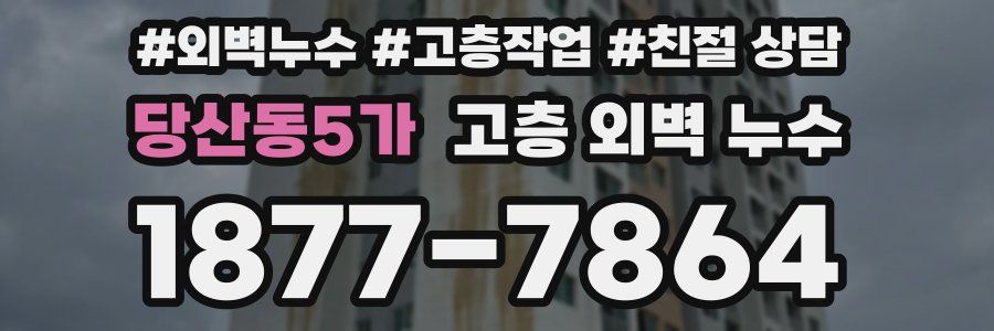 당산동5가 고층 외벽 누수