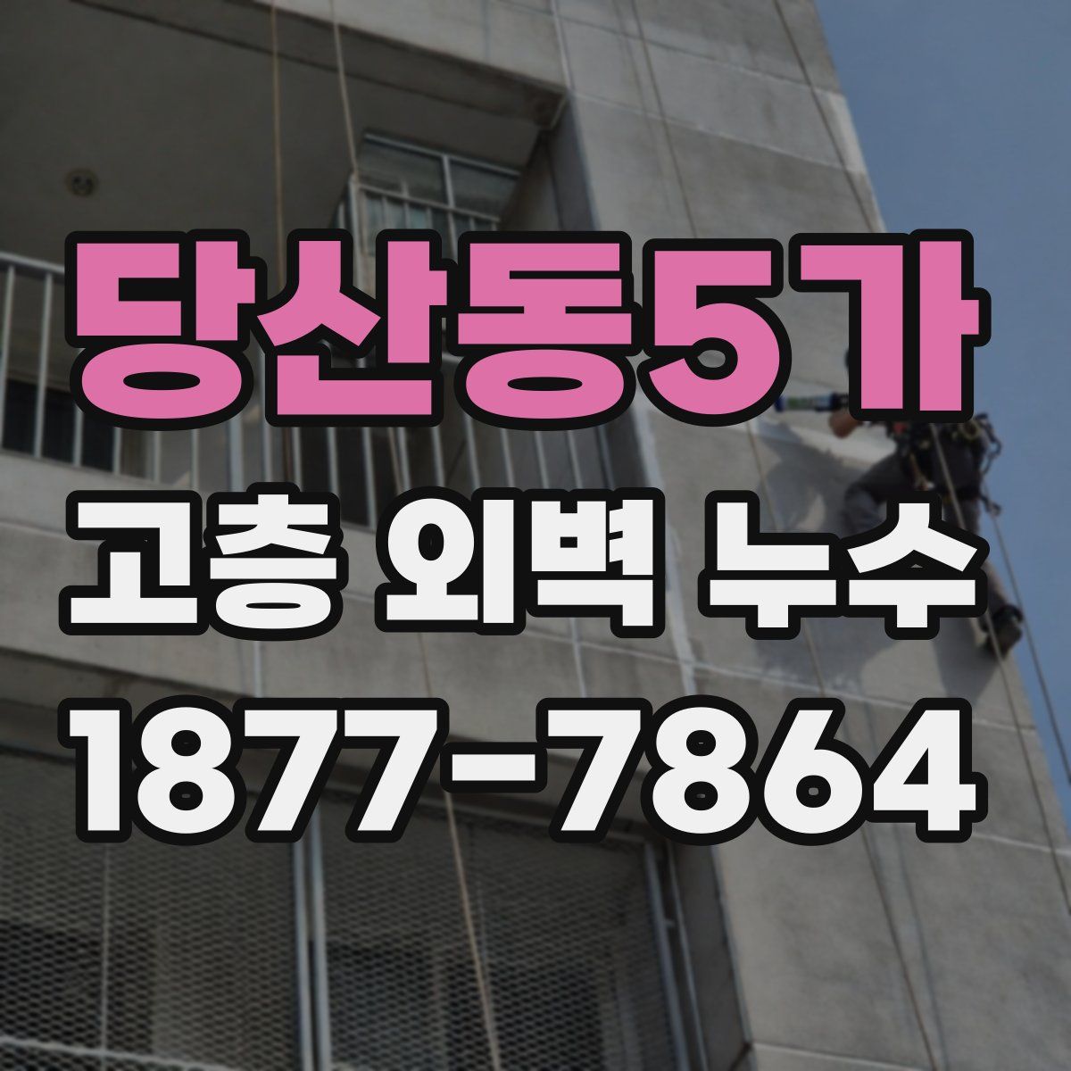 당산동5가 고층 외벽 누수