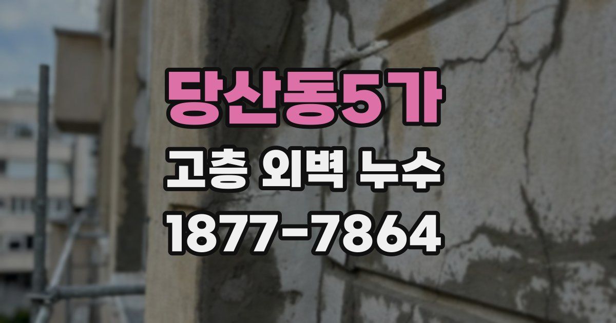 당산동5가 고층 외벽 누수