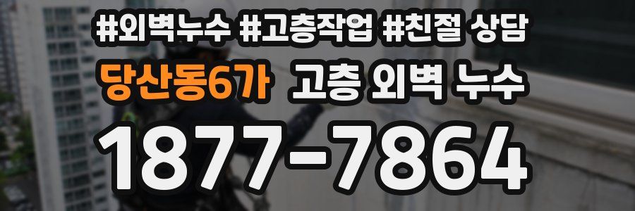 당산동6가 고층 외벽 누수
