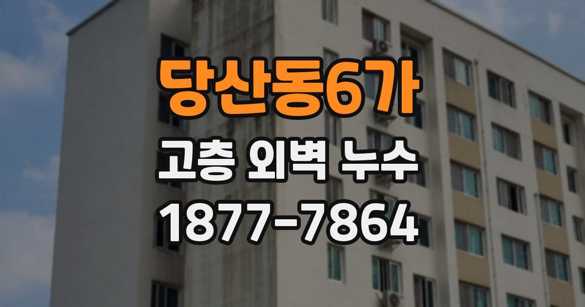 당산동6가 고층 외벽 누수
