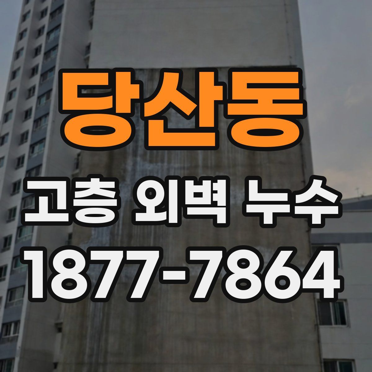 당산동 고층 외벽 누수