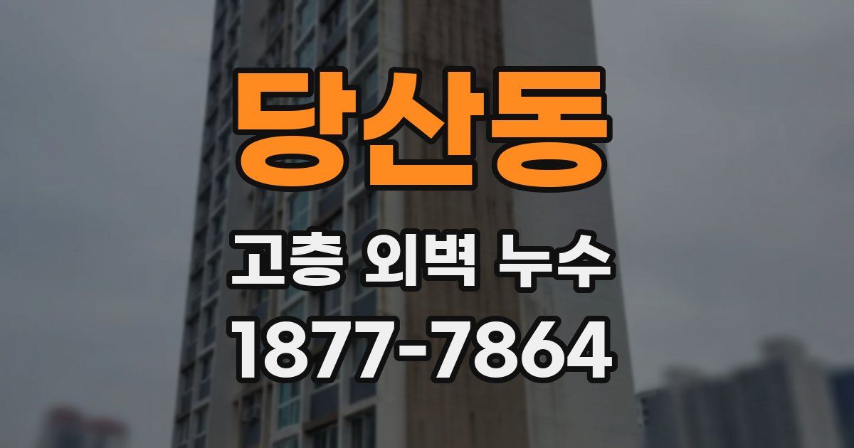 당산동 고층 외벽 누수