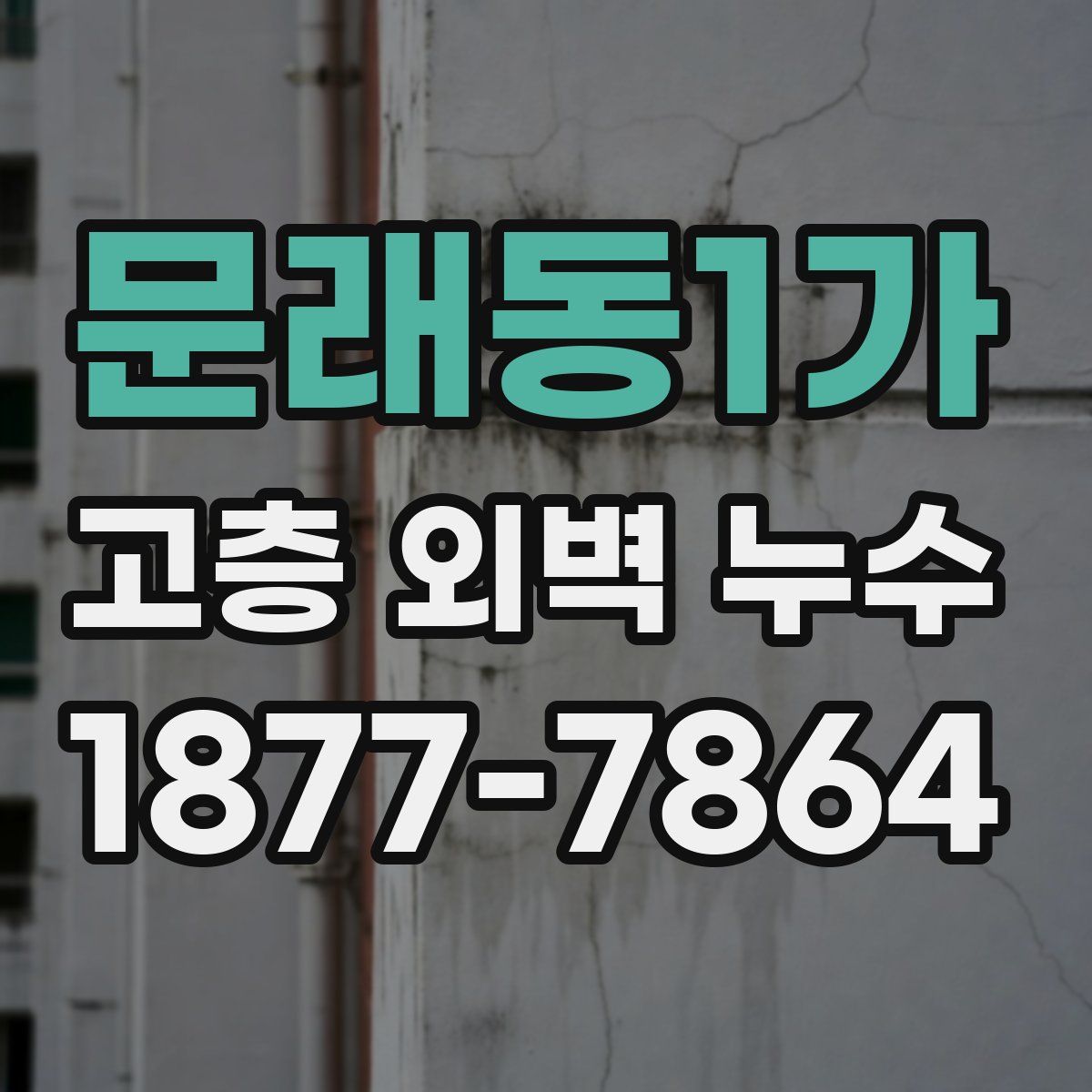 문래동1가 고층 외벽 누수