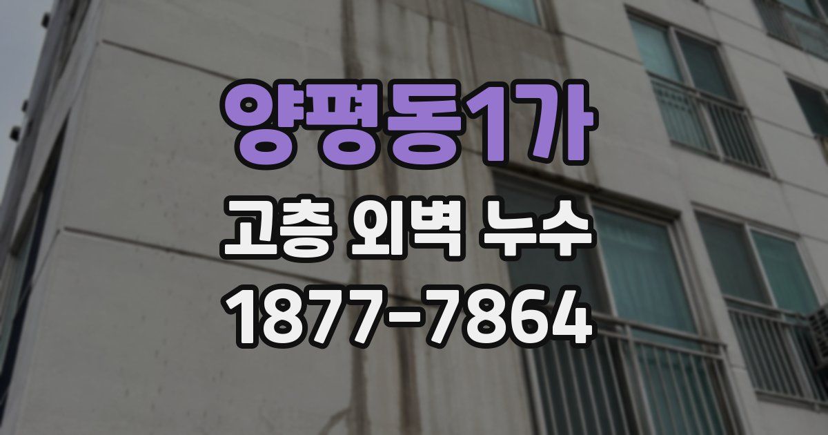 양평동1가 고층 외벽 누수