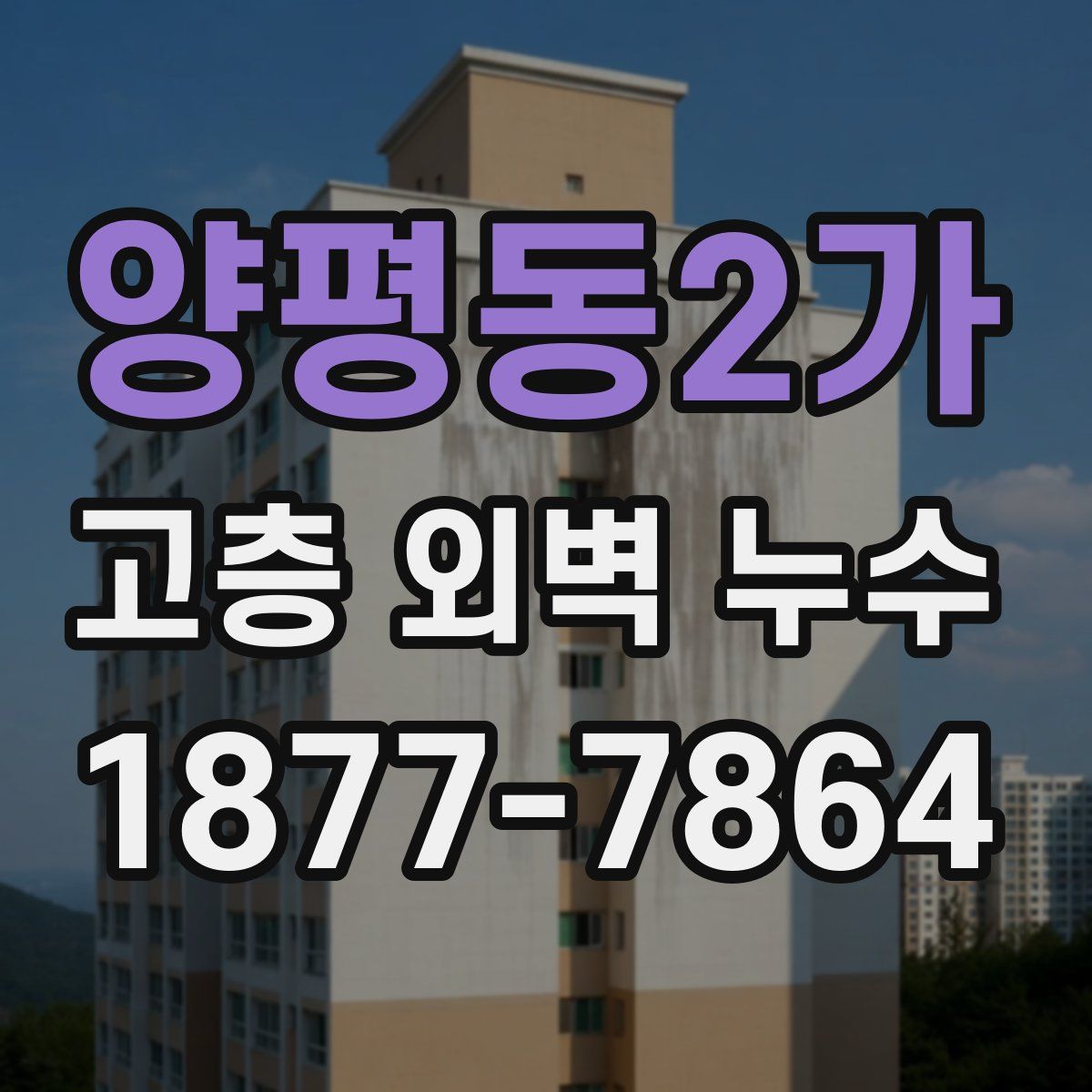 양평동2가 고층 외벽 누수