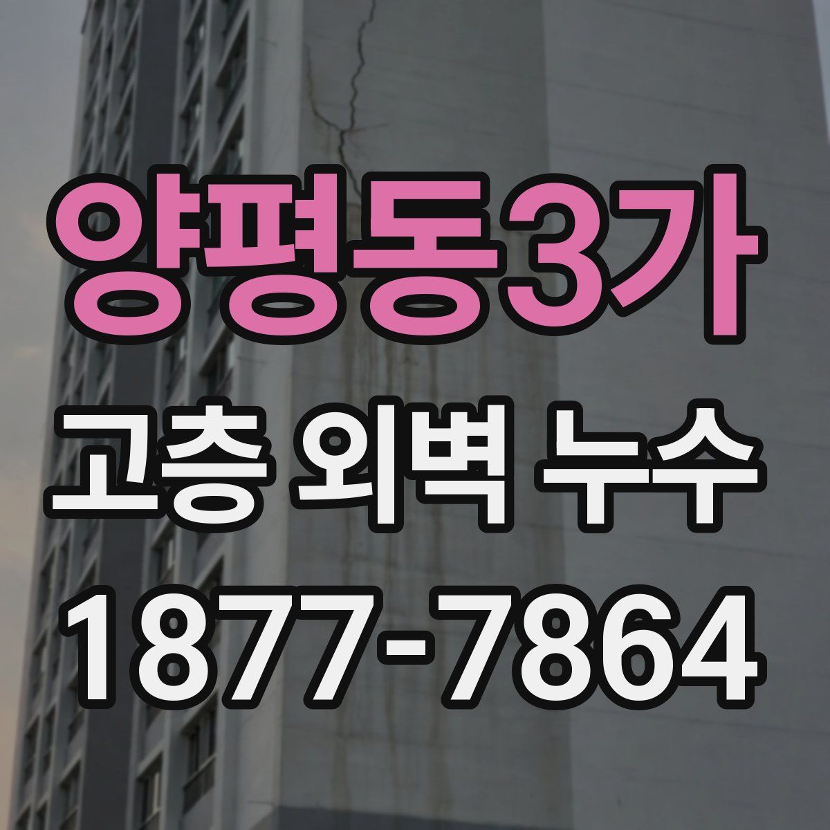 양평동3가 고층 외벽 누수