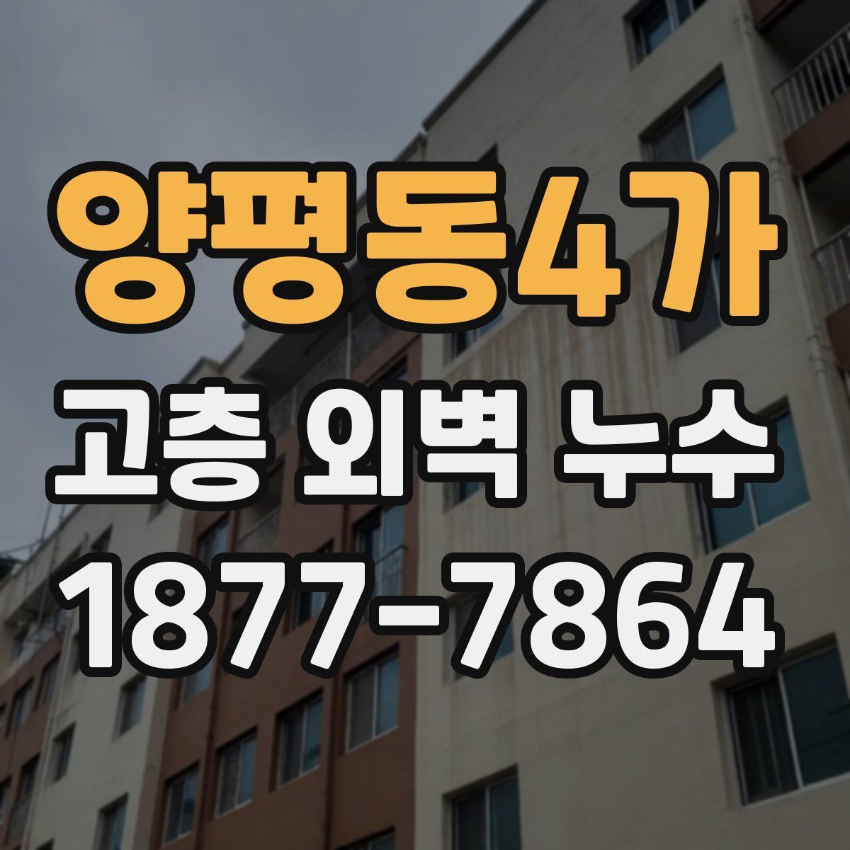 양평동4가 고층 외벽 누수
