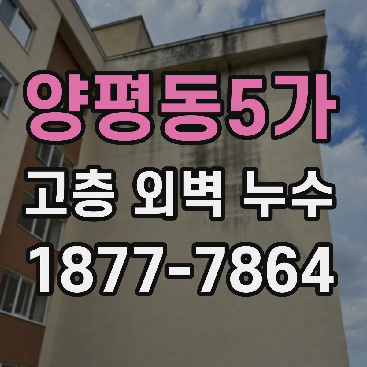 양평동5가 고층 외벽 누수