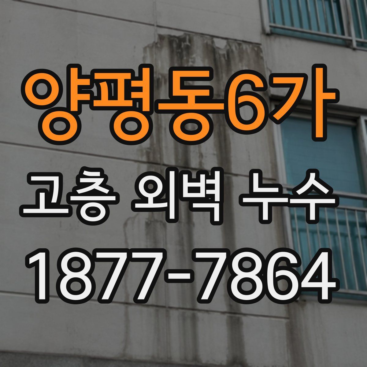 양평동6가 고층 외벽 누수