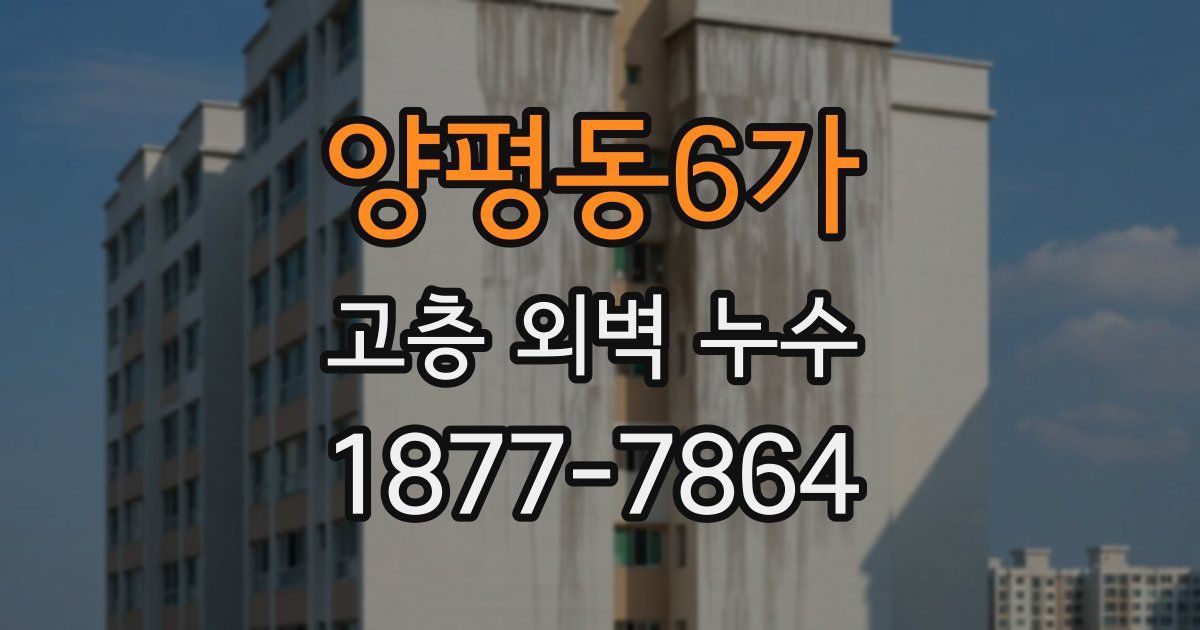 양평동6가 고층 외벽 누수