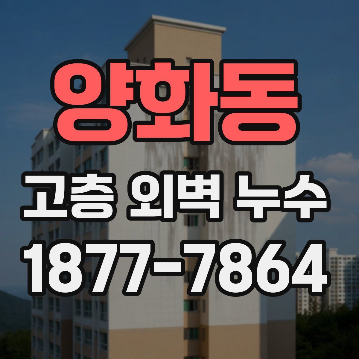 양화동 고층 외벽 누수