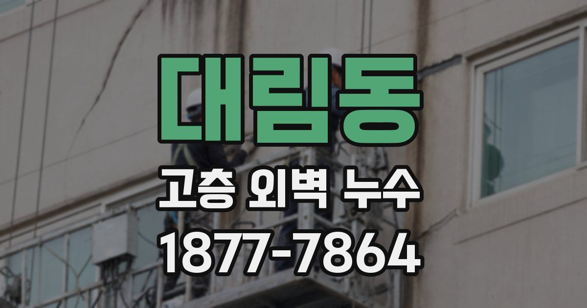 대림동 고층 외벽 누수