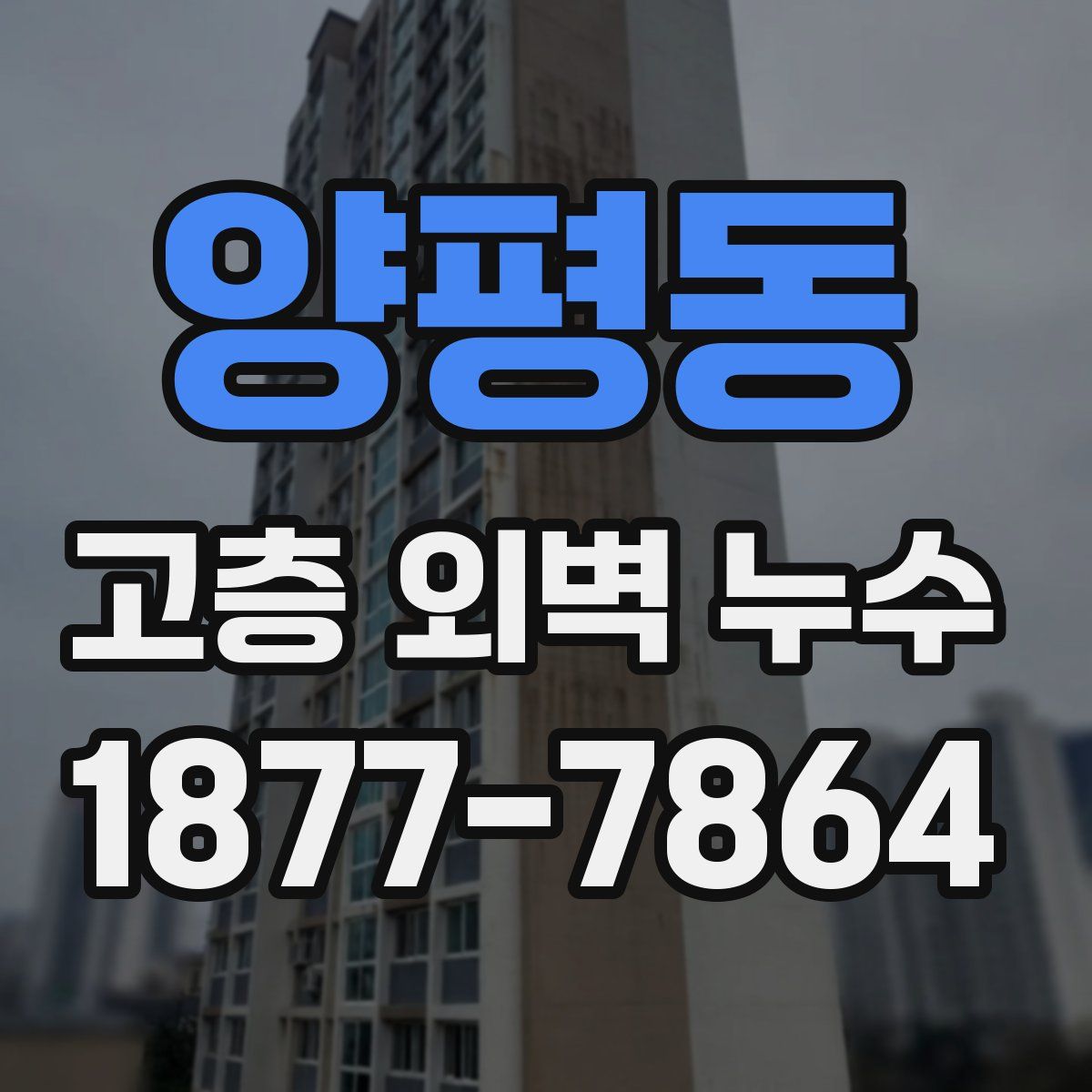 양평동 고층 외벽 누수