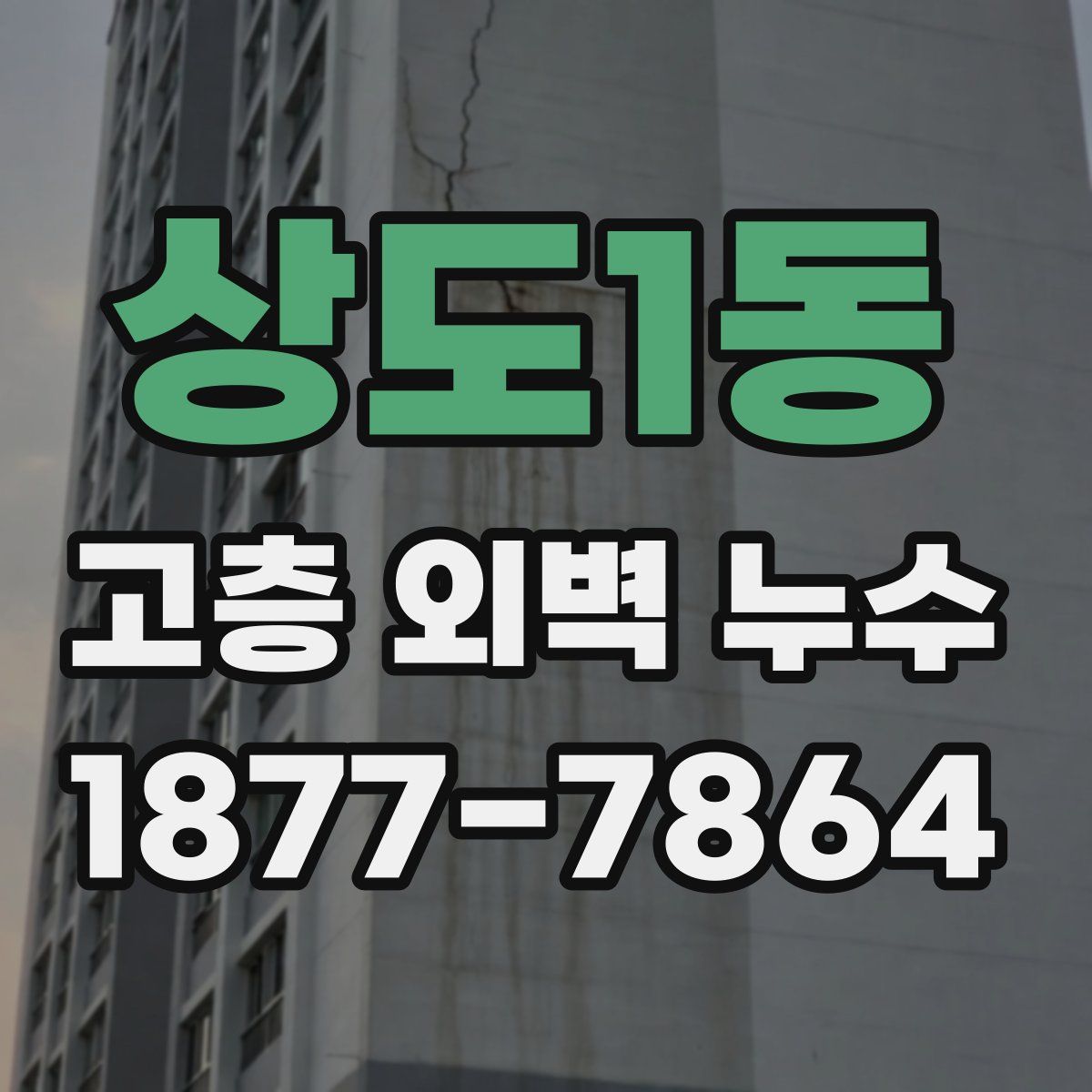 상도1동 고층 외벽 누수