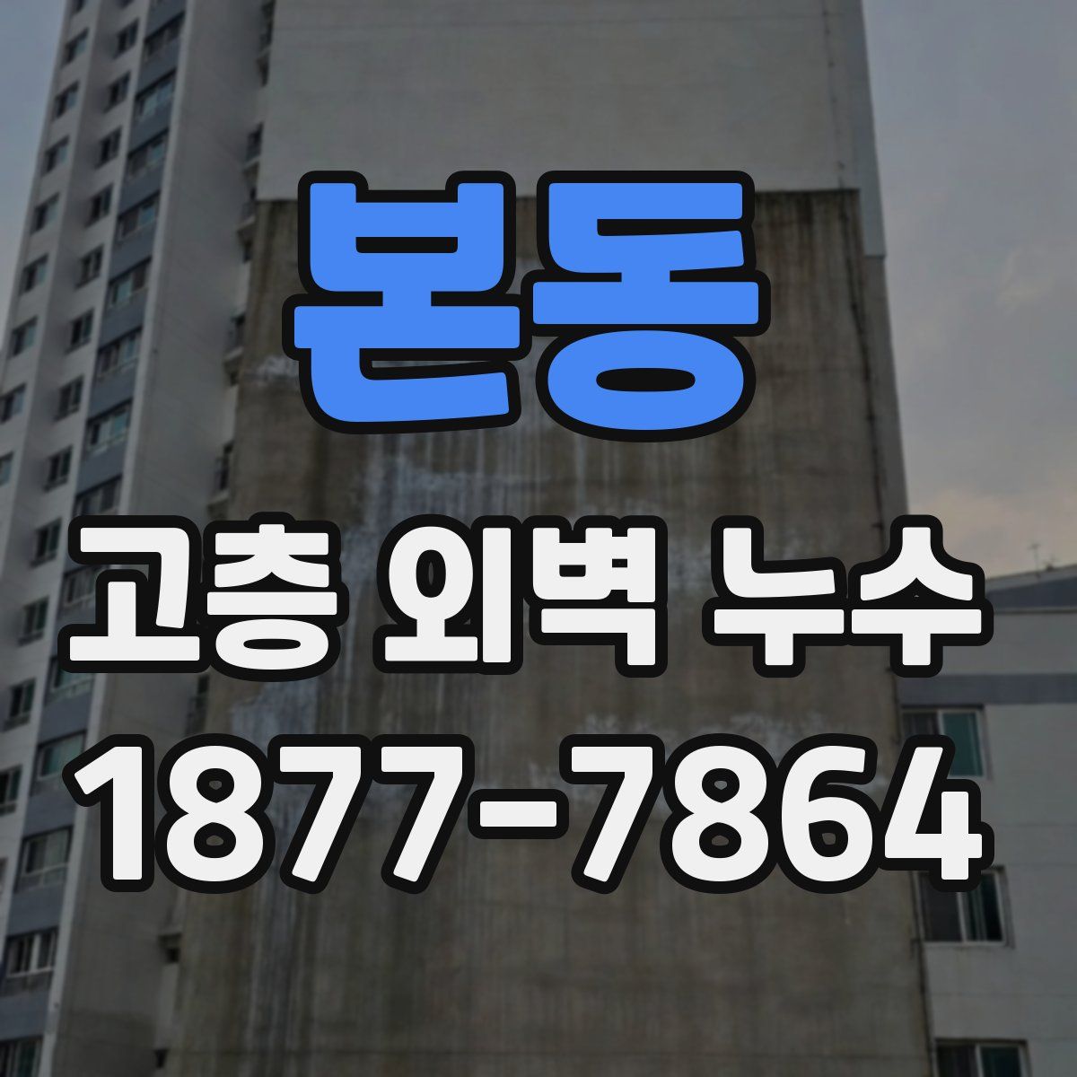 본동 고층 외벽 누수