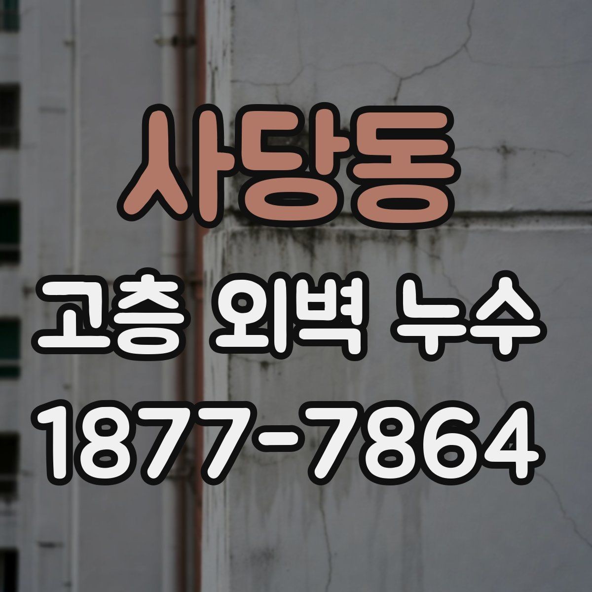 사당동 고층 외벽 누수 진단 장비는 어떻게 다를까