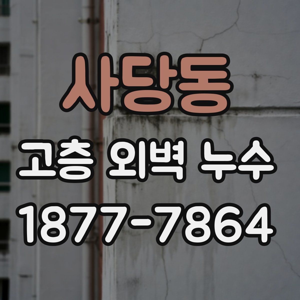사당동 고층 외벽 누수