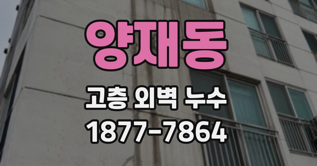 양재동 고층 외벽 누수