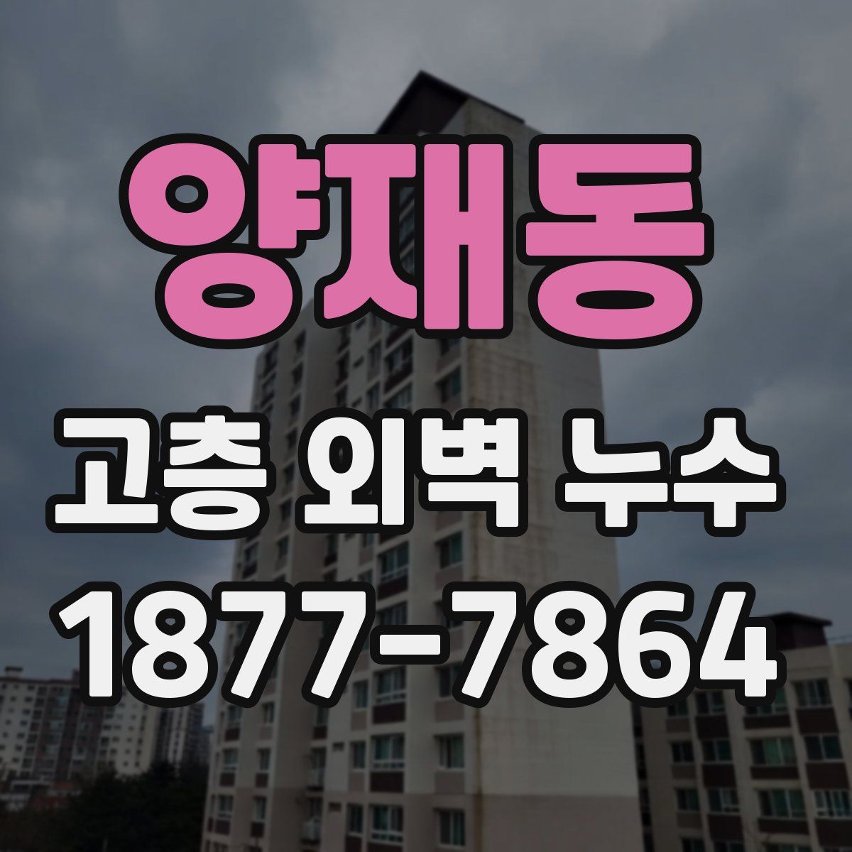 양재동 고층 외벽 누수
