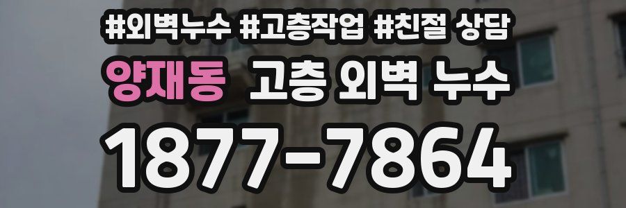 양재동 고층 외벽 누수