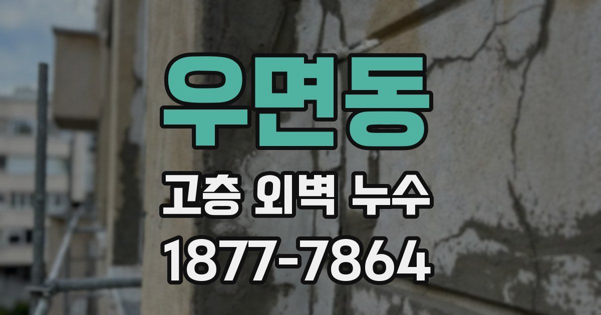 우면동 고층 외벽 누수