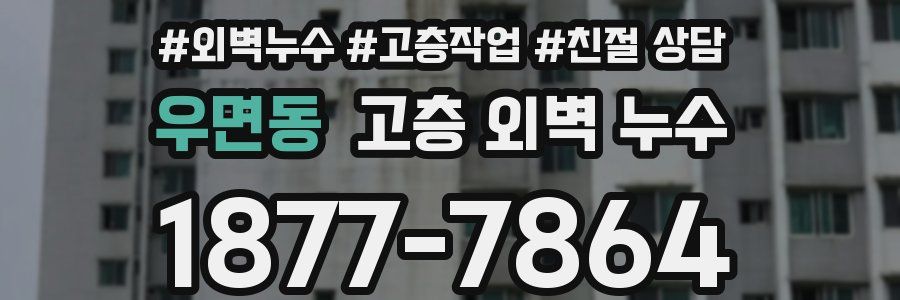 우면동 고층 외벽 누수