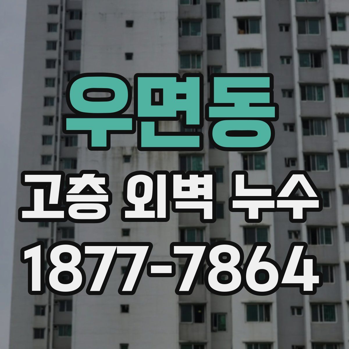 우면동 고층 외벽 누수