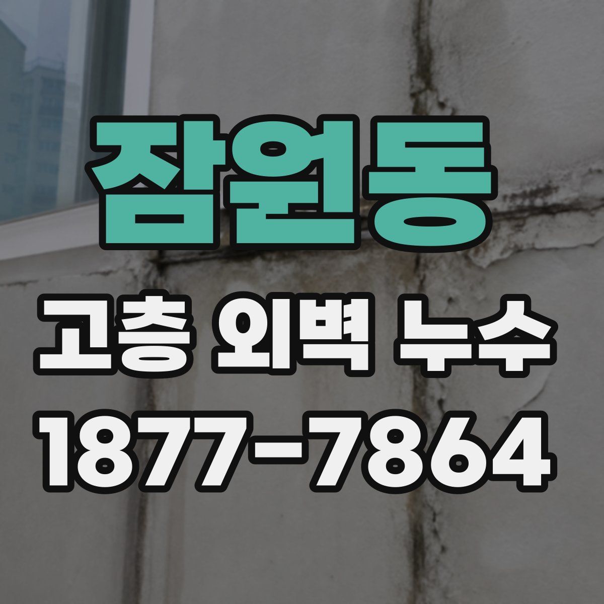잠원동 고층 외벽 누수