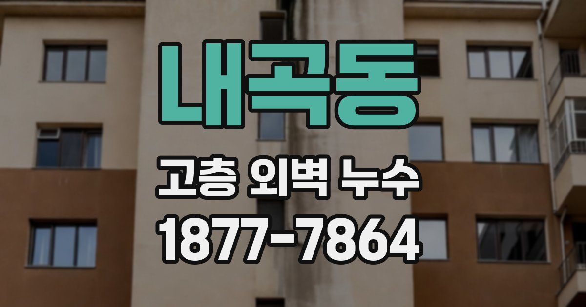 내곡동 고층 외벽 누수