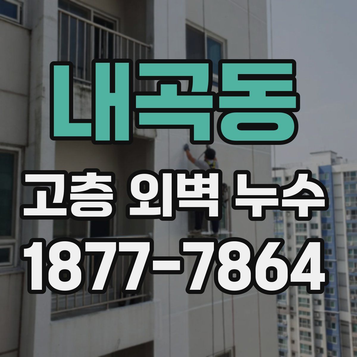 내곡동 고층 외벽 누수