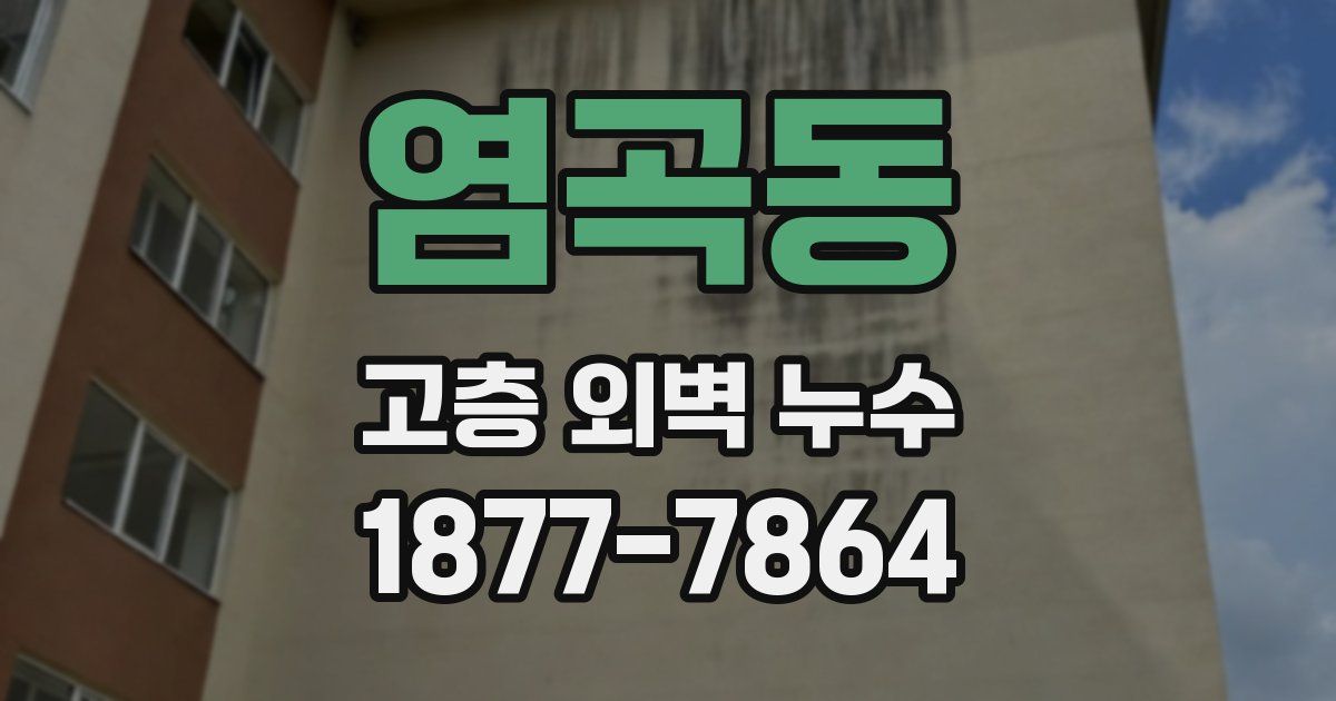 염곡동 고층 외벽 누수