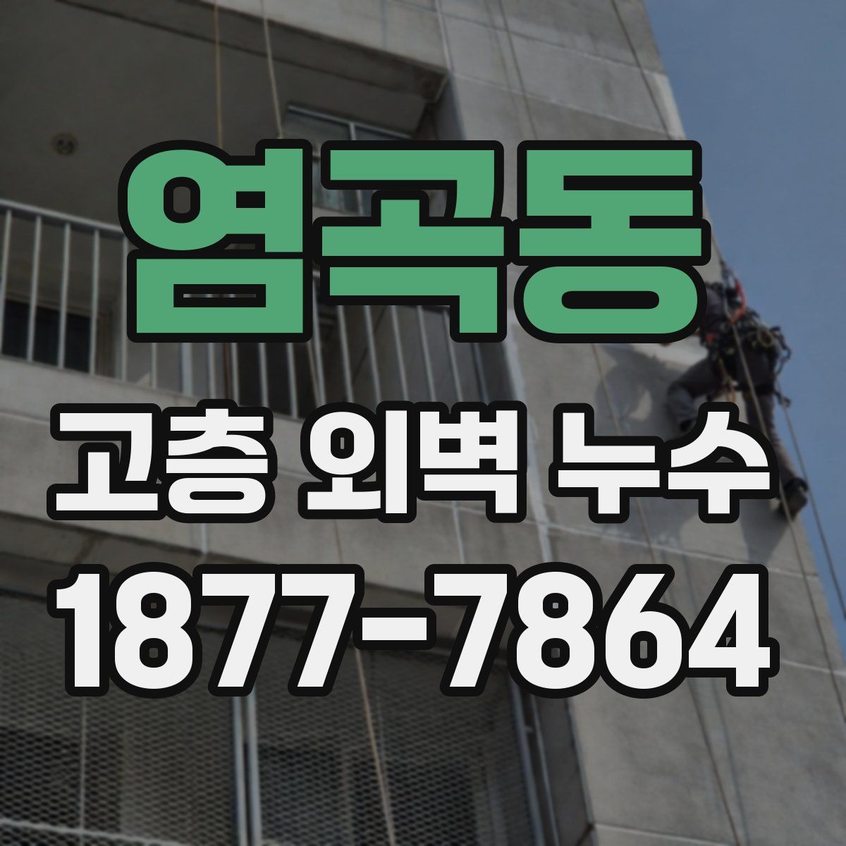 염곡동 고층 외벽 누수