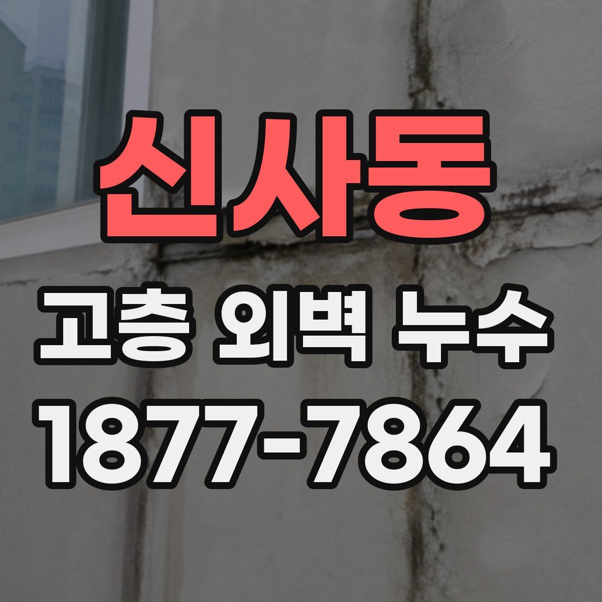 신사동 고층 외벽 누수