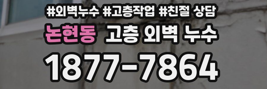 논현동 고층 외벽 누수
