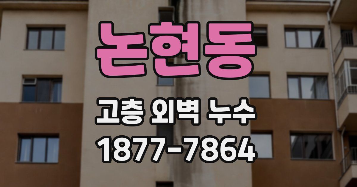 논현동 고층 외벽 누수