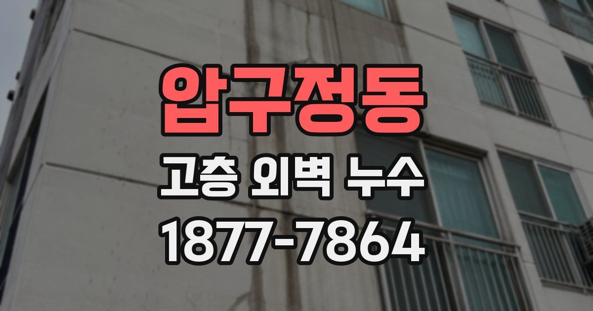 압구정동 고층 외벽 누수