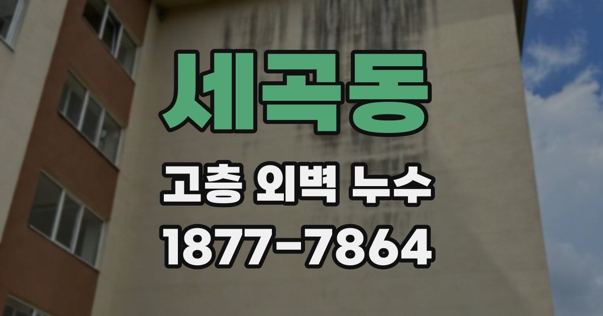 세곡동 고층 외벽 누수
